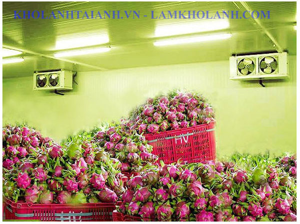 Làm kho lạnh bảo quản Hoa Quả tại Hưng Yên